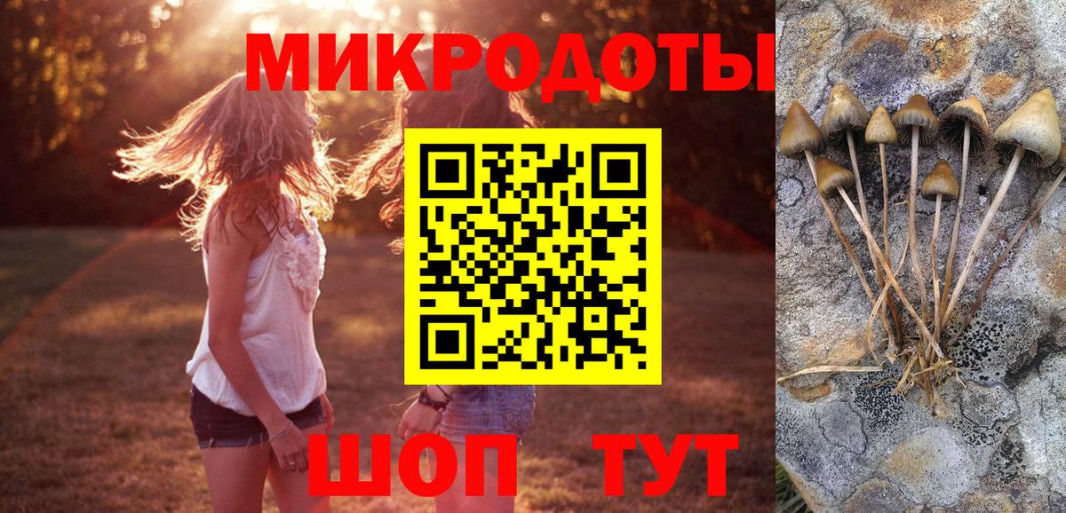 Галлюциногенные грибы GOLDEN TEACHER  наркошоп  Чернушка  Вход с VPN 