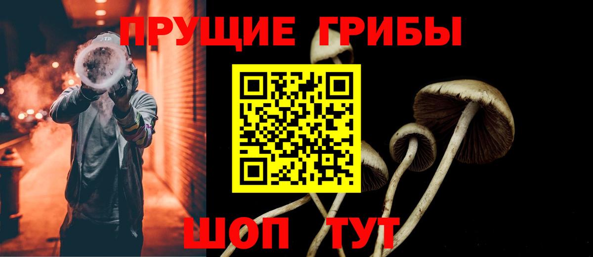 Псилоцибиновые грибы MAGIC MUSHROOMS Чернушка